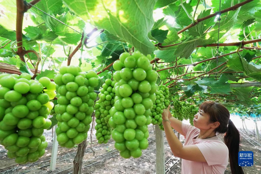 星空娱乐登陆网址